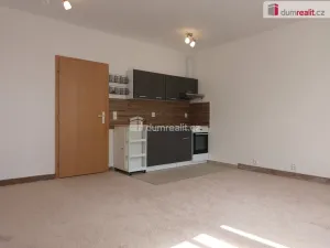 Pronájem bytu 1+kk, Karlovy Vary - Stará Role, Kryzánkova, 35 m2
