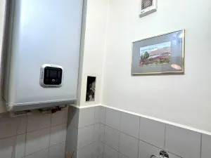 Pronájem bytu 3+kk, Praha - Žižkov, Jeseniova, 71 m2