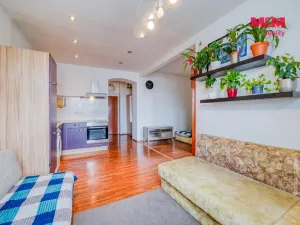 Prodej bytu 2+kk, Plzeň - Východní Předměstí, Guldenerova, 39 m2