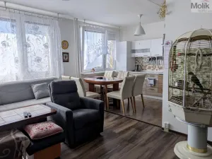 Prodej bytu 3+kk, Teplice - Trnovany, Hlávkova, 54 m2