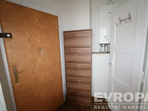 Pronájem bytu 1+1, Praha - Žižkov, Biskupcova, 33 m2