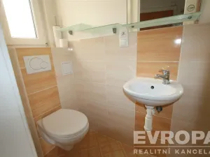 Pronájem bytu 1+1, Praha - Žižkov, Biskupcova, 33 m2