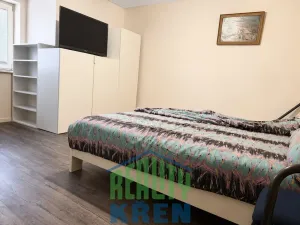 Prodej rodinného domu, Kladno, Vinařická, 345 m2