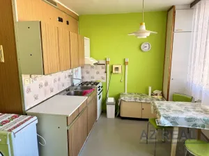 Prodej bytu 1+1, Mladá Boleslav - Mladá Boleslav II, Havlíčkova, 43 m2