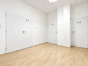 Pronájem skladu, Brno, Šujanovo náměstí, 137 m2