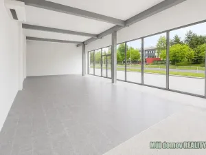 Pronájem obchodního prostoru, Praha - Strašnice, V olšinách, 77 m2