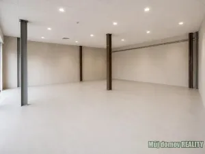 Pronájem obchodního prostoru, Praha - Strašnice, V olšinách, 77 m2