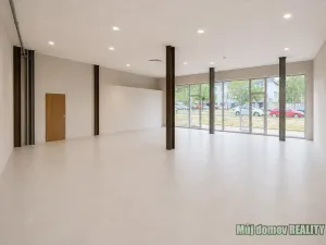 Pronájem obchodního prostoru, Praha - Strašnice, V olšinách, 154 m2