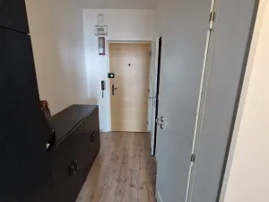 Pronájem bytu 1+kk, Brno, 47 m2