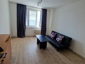 Pronájem bytu 1+kk, Brno, 47 m2
