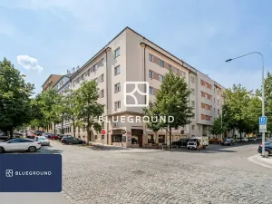 Pronájem bytu 2+kk, Praha - Žižkov, Baranova, 65 m2