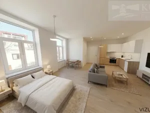Pronájem bytu 1+kk, České Budějovice - České Budějovice 3, Rudolfovská tř., 42 m2
