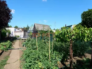 Prodej bytu 3+kk, Hustopeče, Družstevní, 81 m2