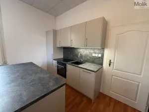 Pronájem bytu 3+1, Most - Čepirohy, Sadová, 150 m2