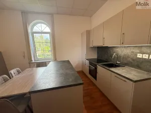 Prodej bytu 3+1, Most - Čepirohy, Sadová, 150 m2