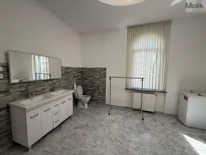 Prodej bytu 3+1, Most - Čepirohy, Sadová, 150 m2