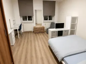 Pronájem bytu 4+1, Teplice, Krupská, 145 m2