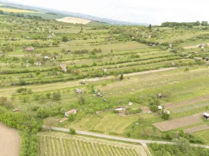 Prodej sadu/vinice, Strážnice, 3526 m2