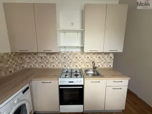 Pronájem bytu 1+1, Most, Zdeňka Fibicha, 37 m2