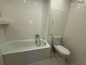 Pronájem bytu 1+1, Most, Zdeňka Fibicha, 37 m2