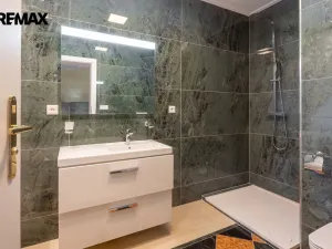 Prodej rodinného domu, Jenišov, Pod Vrchem, 483 m2