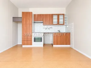 Prodej bytu 2+kk, České Budějovice - České Budějovice 2, Jizerská, 48 m2