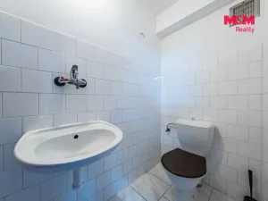 Prodej rodinného domu, Šestajovice, Ve Skalkách, 125 m2