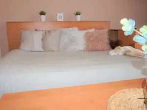 Pronájem bytu 1+kk, Olomouc, gen. Píky, 44 m2