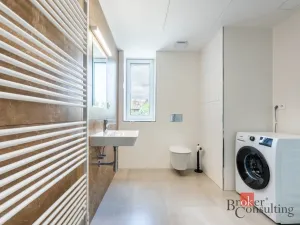 Pronájem bytu 2+kk, Olomouc - Nová Ulice, Třída Jiřího Pelikána, 47 m2