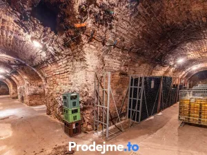Prodej - jiné, Nový Šaldorf-Sedlešovice, 478 m2