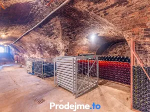 Prodej - jiné, Nový Šaldorf-Sedlešovice, 478 m2
