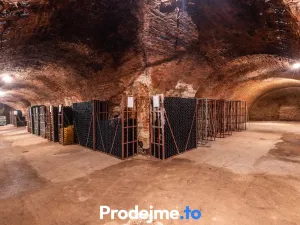 Prodej - jiné, Nový Šaldorf-Sedlešovice, 478 m2