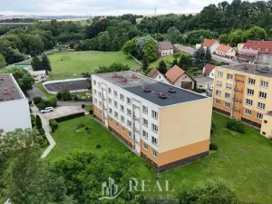 Prodej bytu 3+1, Žiželice, 63 m2