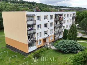 Prodej bytu 3+1, Žiželice, 63 m2