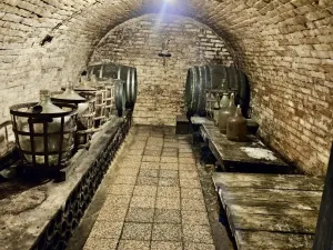 Prodej vinného sklepa, Mutěnice, 141 m2