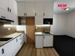 Pronájem bytu 1+kk, Řevničov, Karlovarská, 25 m2