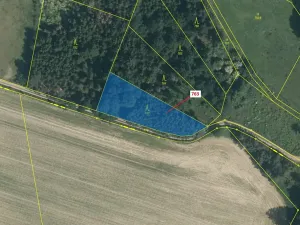Dražba lesa, Zvěstov, 1498 m2