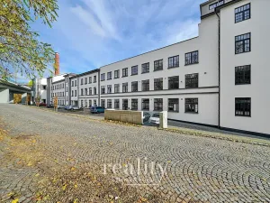 Pronájem bytu 1+kk, Jihlava, Křižíkova, 52 m2