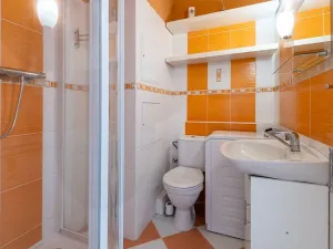 Prodej bytu 1+1, České Budějovice - České Budějovice 2, J. Opletala, 36 m2