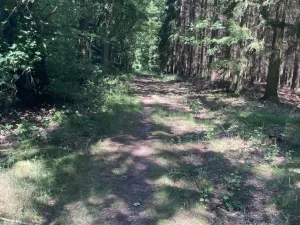 Prodej pole, Lomnice nad Popelkou - Želechy, 3130 m2
