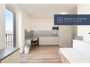 Pronájem bytu 1+kk, Brno, Křenová, 20 m2