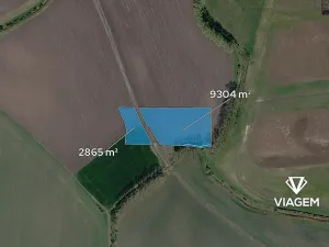 Prodej podílu pole, Běrunice, 1521 m2