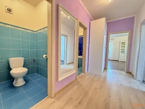 Pronájem bytu 2+kk, Holubice, 67 m2