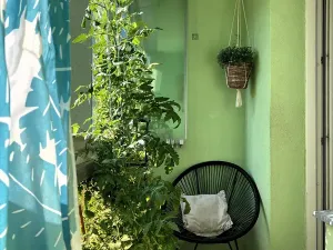 Prodej bytu 2+1, Litomyšl, Komenského nám., 62 m2