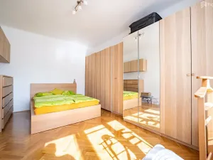 Prodej bytu 1+1, Brno, Pod kaštany, 49 m2