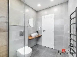 Pronájem bytu 2+kk, Ostrava - Mariánské Hory, Bílá, 37 m2
