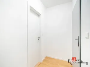 Pronájem bytu 2+kk, Ostrava - Mariánské Hory, Bílá, 37 m2