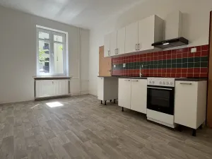 Pronájem bytu 1+1, Ostrava, Hájkova, 51 m2