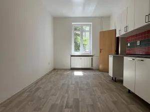Pronájem bytu 1+1, Ostrava, Hájkova, 51 m2