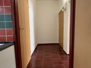 Pronájem bytu 1+1, Ostrava, Hájkova, 51 m2